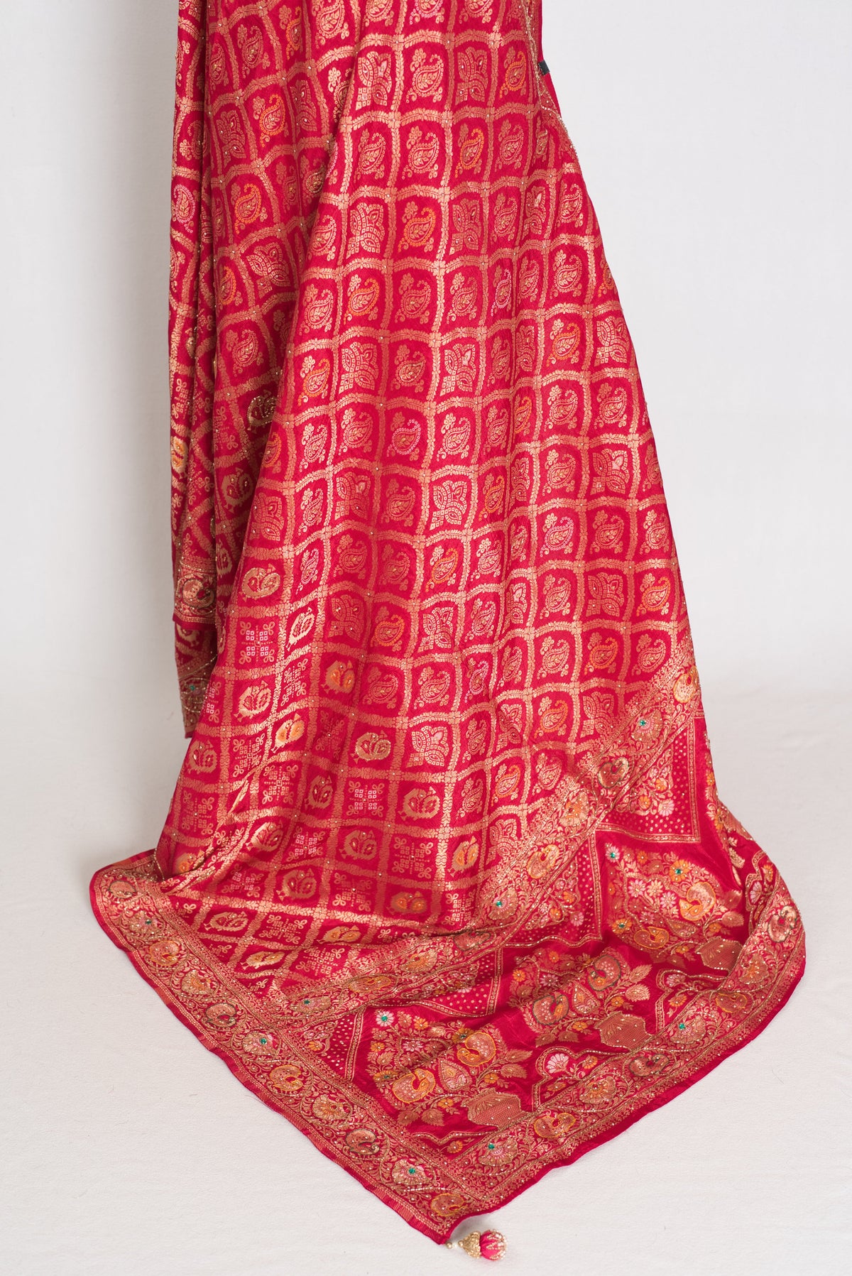 Asha Rani Pink Dola Silk Banarasi Saree — close-up of the hanging fabric and woven border